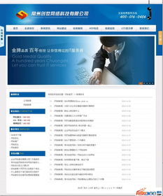 ASP精品 一款藍色漂亮的網絡科技公司源碼，助力技術開發新高度